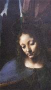 Leonardo  Da Vinci Detail of Madonna of the Rocks oil painting